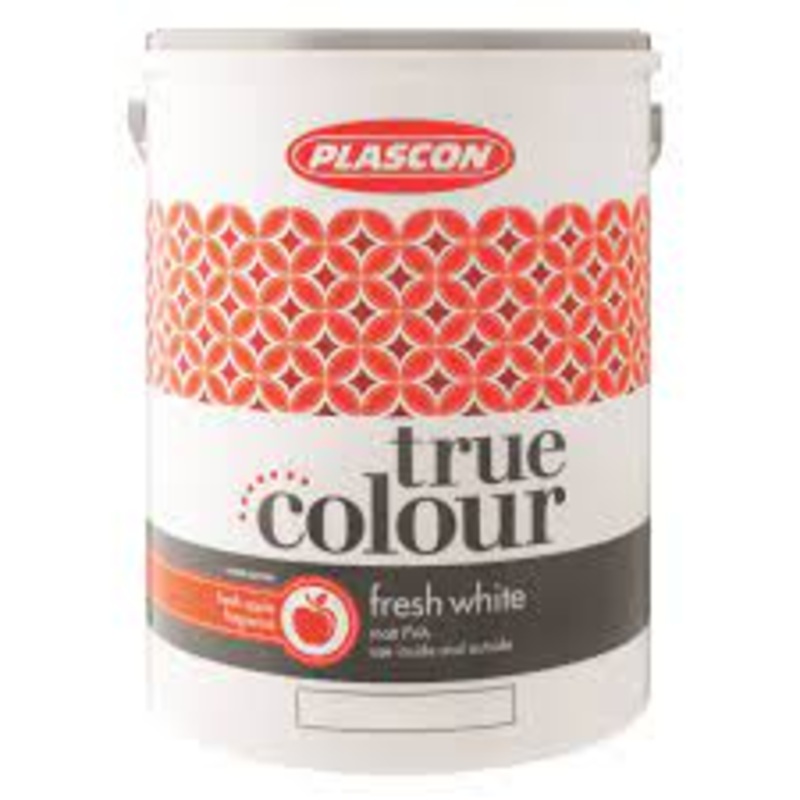 Plascon 5lts Ace Lacquer - Matt