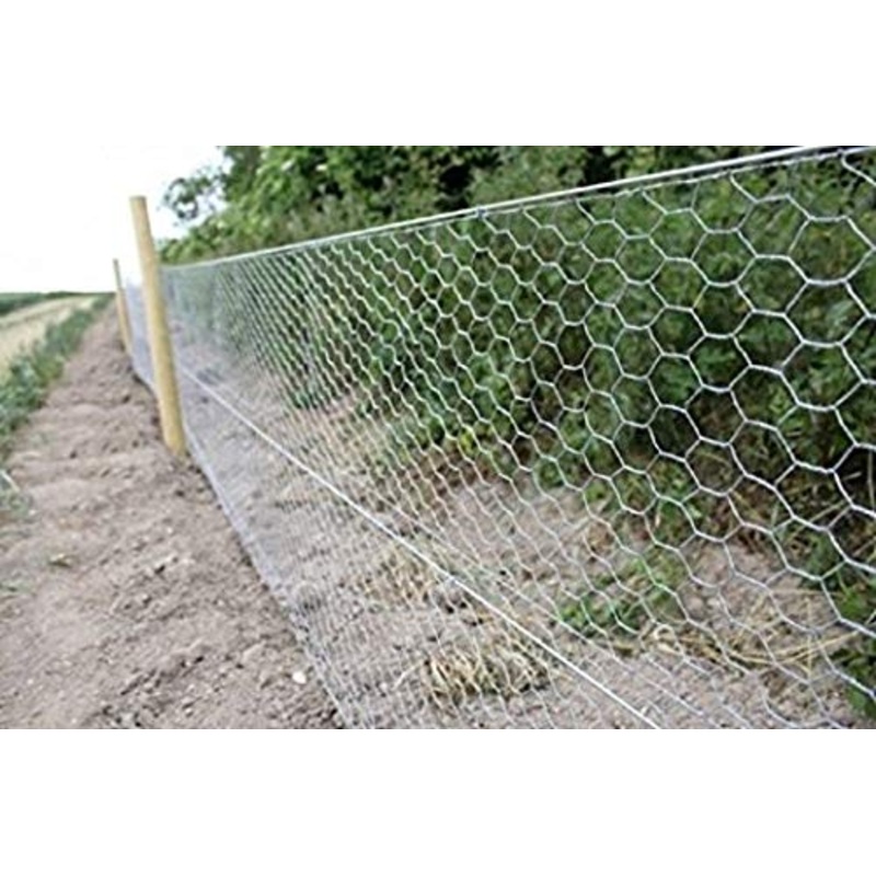Chicken Wire Mesh  18 Metres