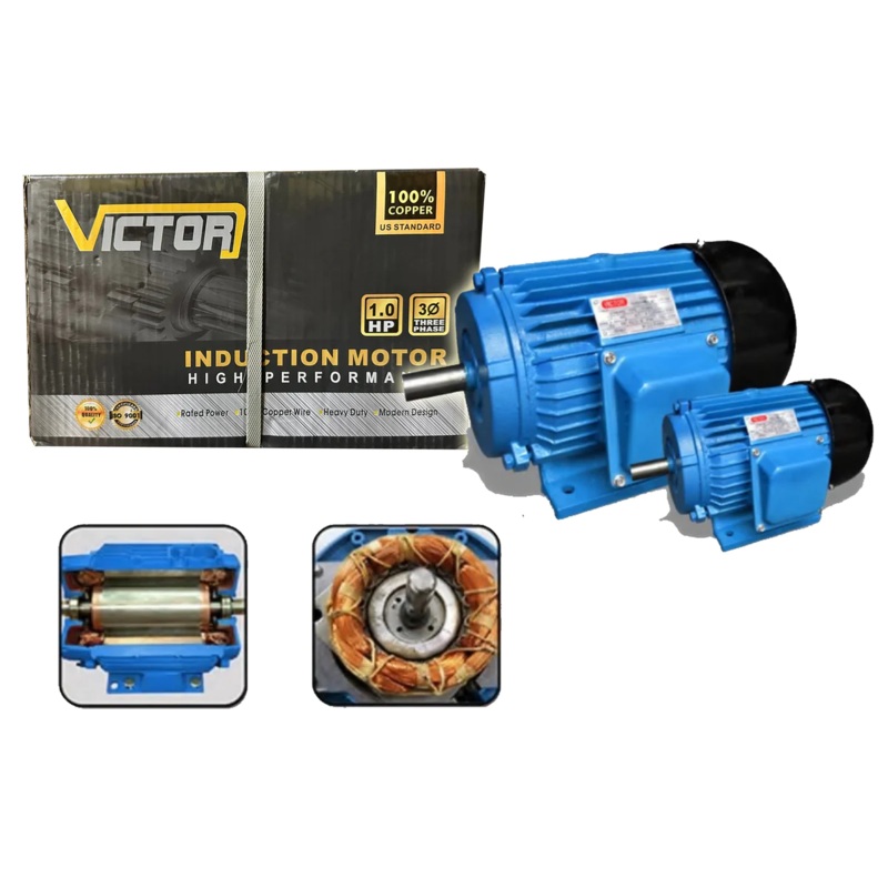 Victor Electric Induction Motor (Copper)